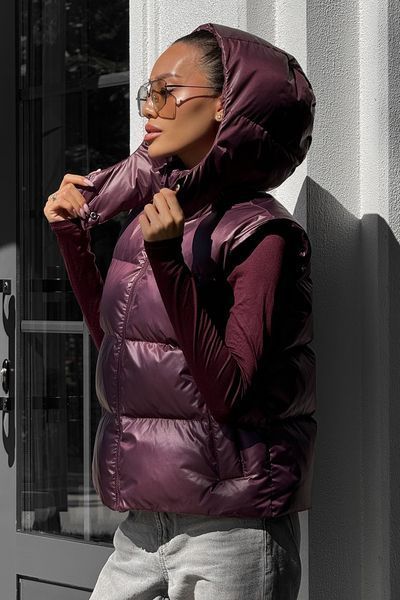 Жилет Jadone Fashion Кул марсала Кул фото